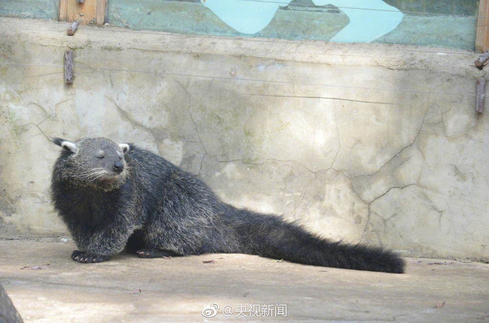 美欧黄色网站片