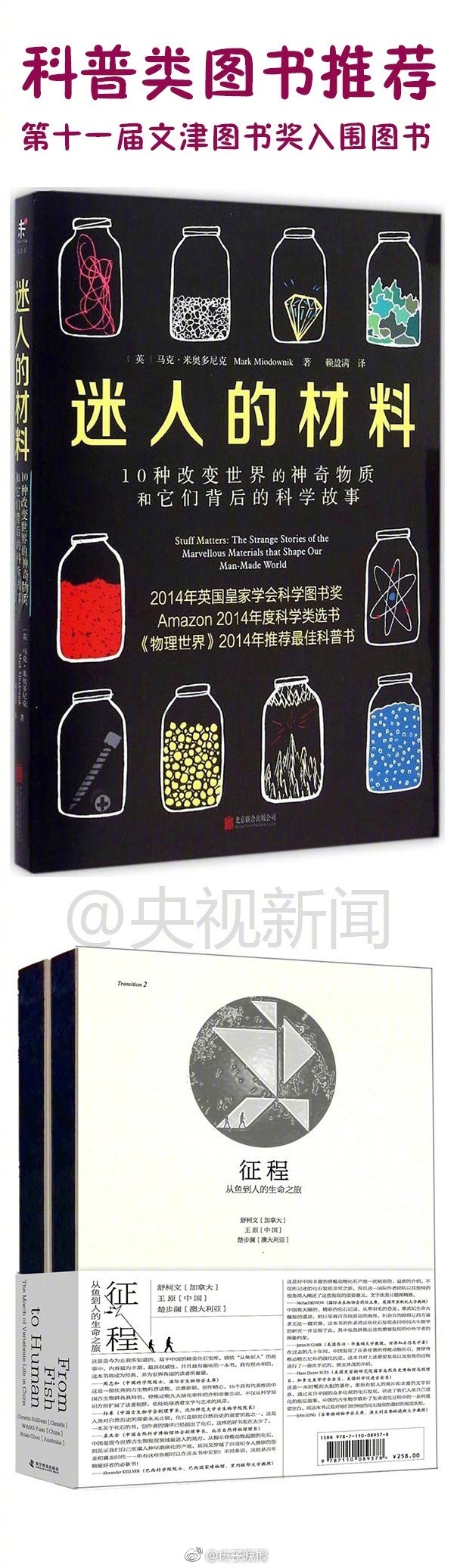 X站