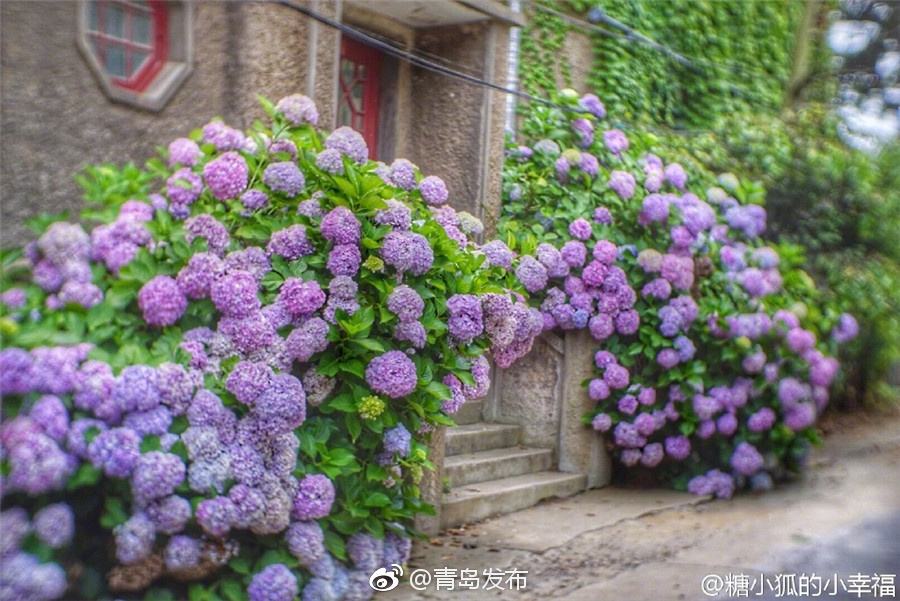 日本三级片网站