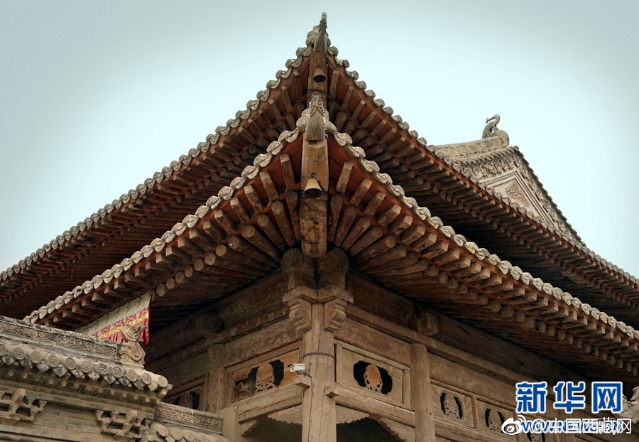 中国老逼