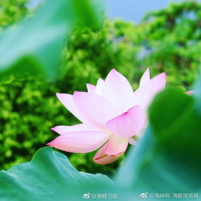 殴美一级黄色网站