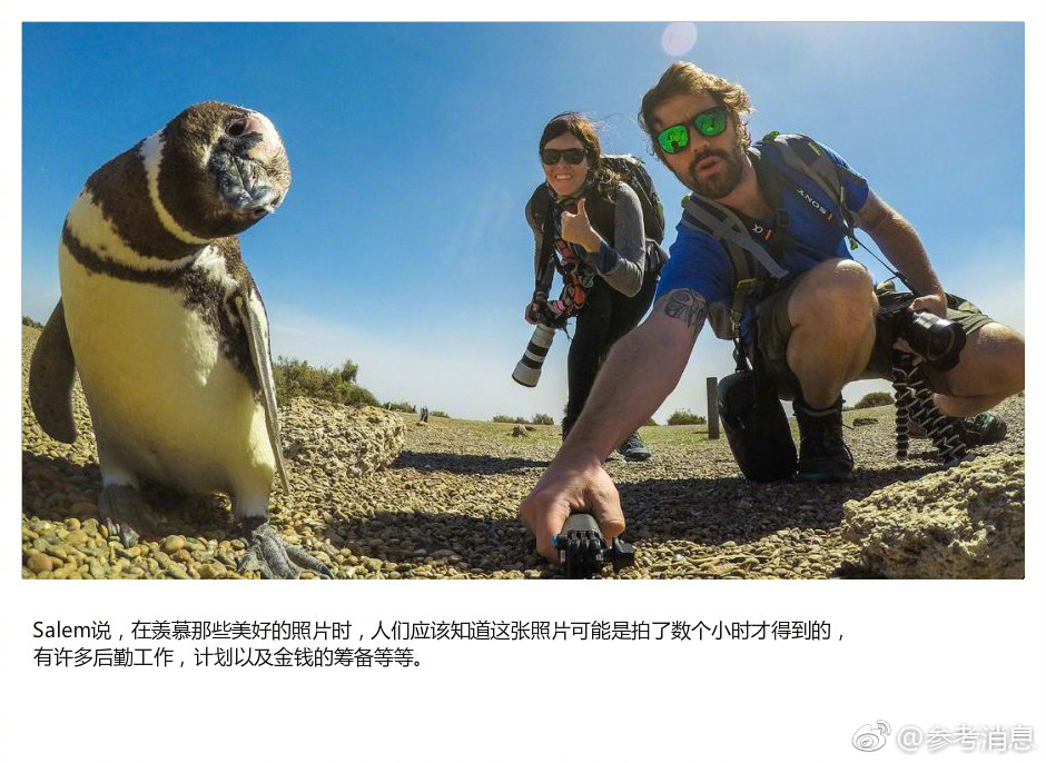 二级黄色片