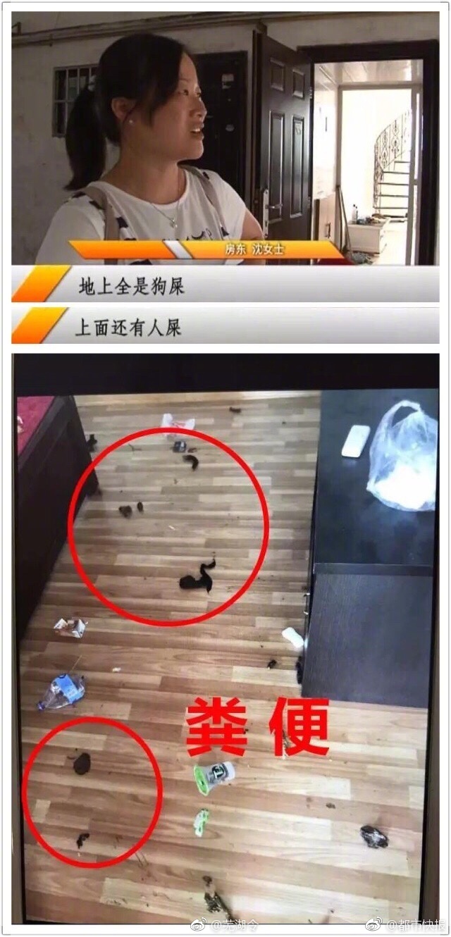 日韩欧美三区