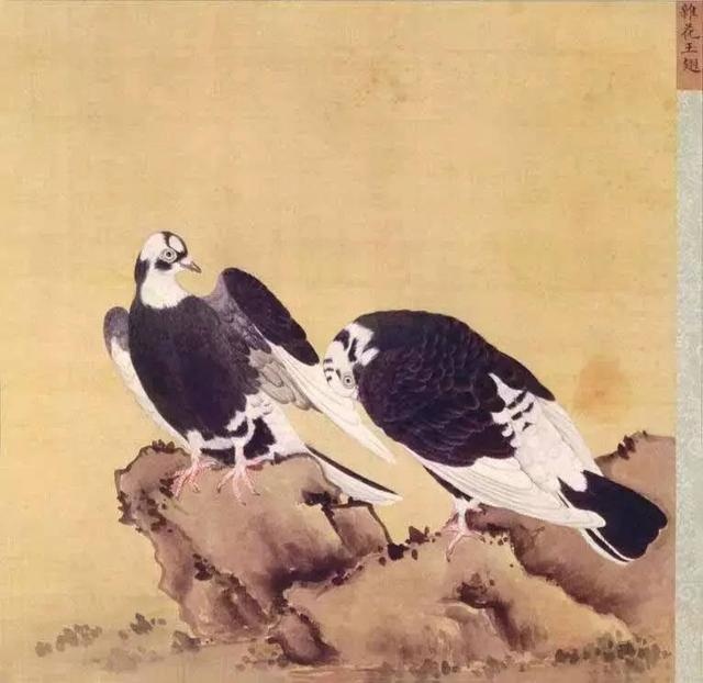 成品直播大全免费观看