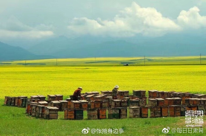 公交车上拨开奶罩揉吮