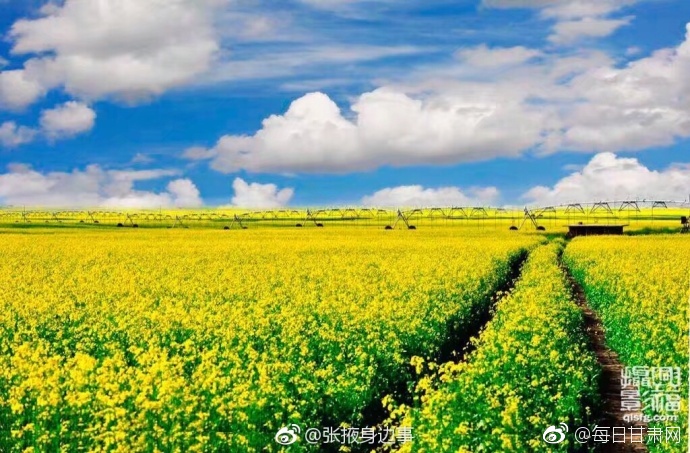这里只有精品久久