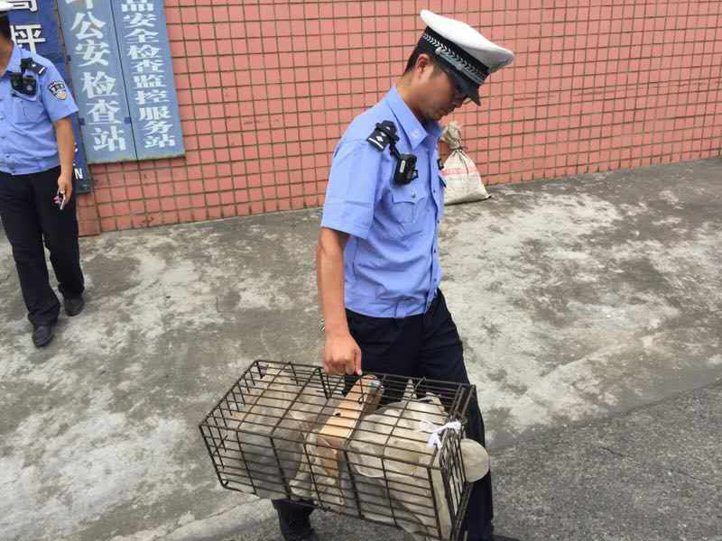 男操女网站