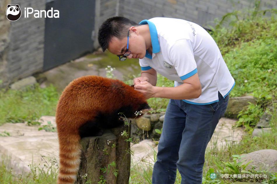 桌角自慰