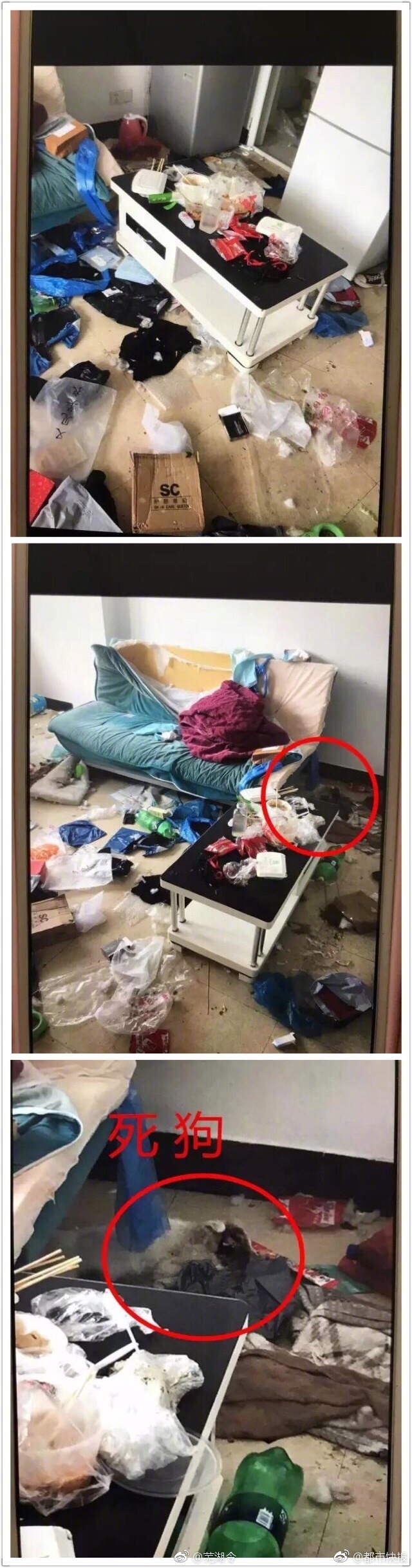 日本無碼大奶