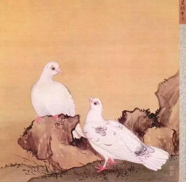 亚洲第一区视频