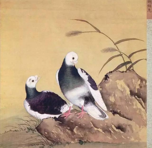人妻社区男人天堂蓝光无码