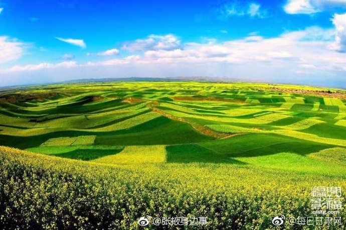 A级黄色片