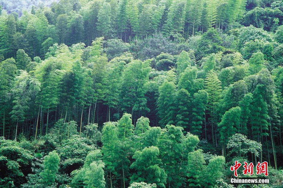 欧美粉嫩小泬肉交20P