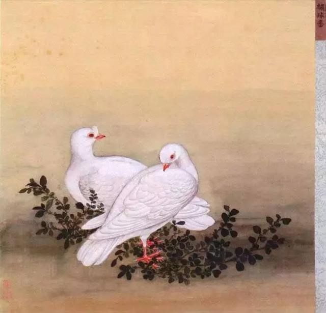 欧美第一区