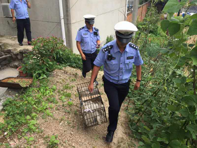 激情久久五月天