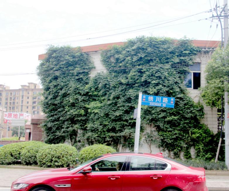 台湾 成人 电影
