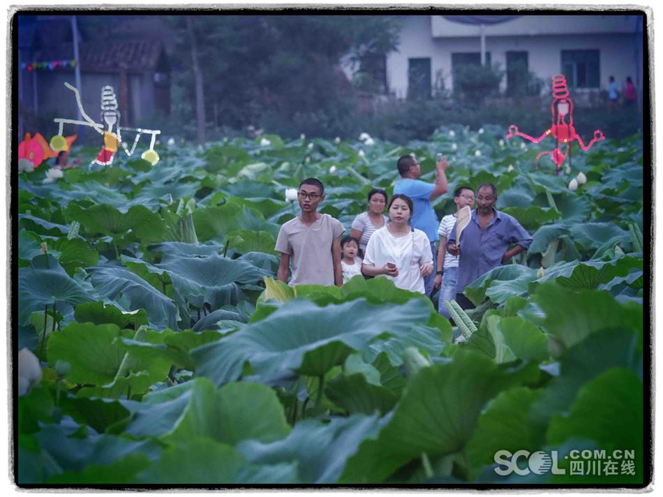 免费无码又爽又刺激软件下载直播