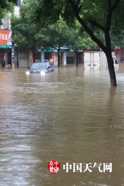 董卿扒开屁股让男人桶