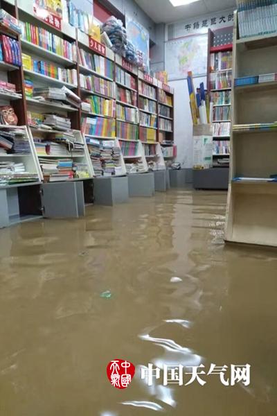 欧美私人影院免费观看大尺度无遮挡三级片
