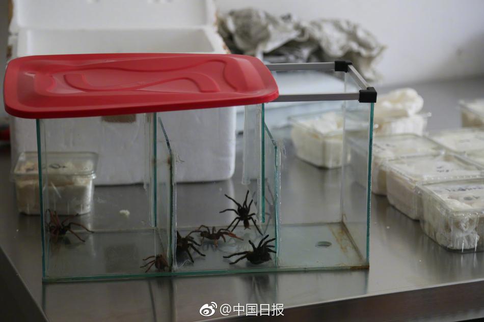 www.操逼