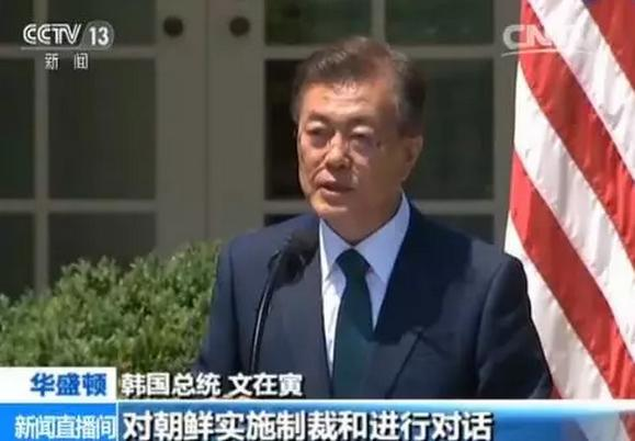 8x8x华人
