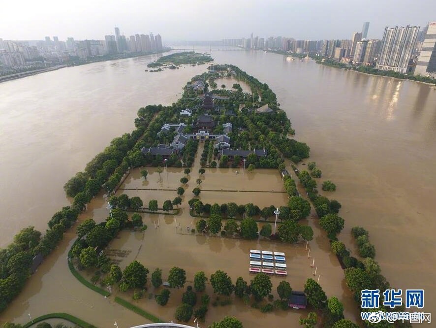 黑人黑大吊性愛东京热