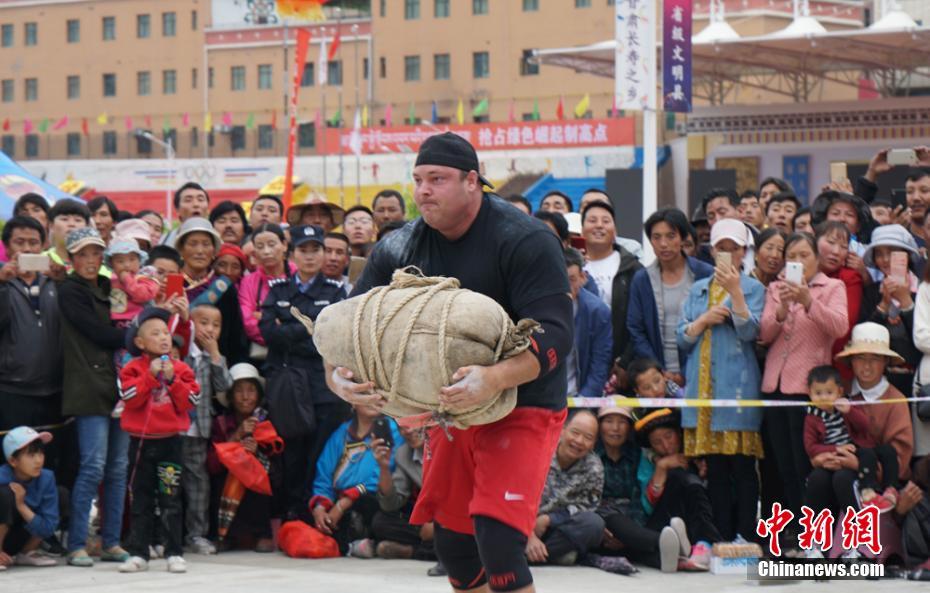 车速超高废文的双男主