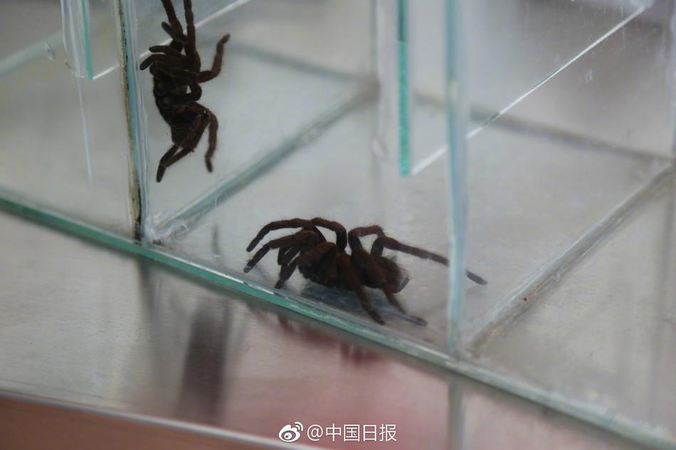 门事件