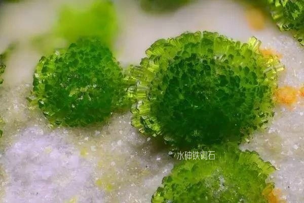 国产伦理精品一区二区三区观看体验
