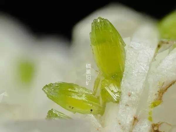 免费人成在线观看视频播放