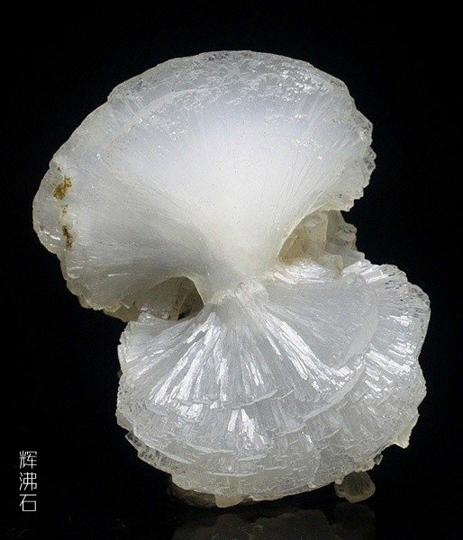 黄色的视频金瓶梅