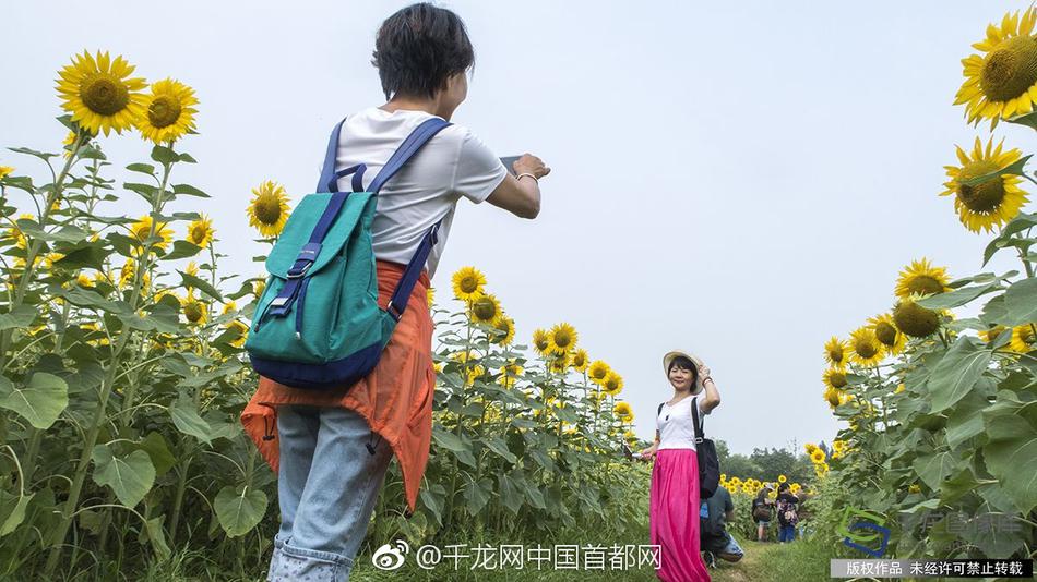 张拍芝54张无删码图在线