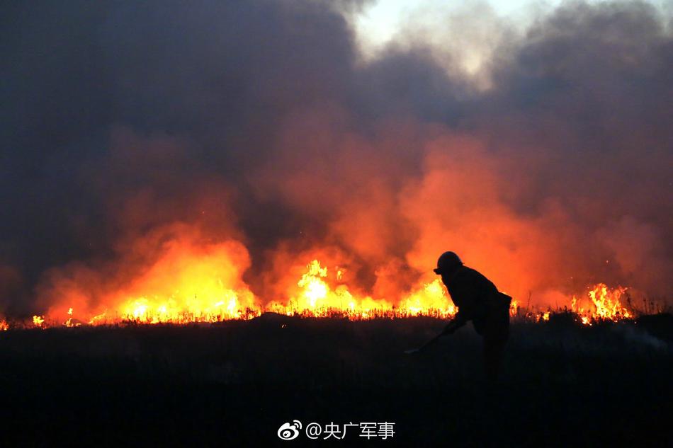 无码人妻电影Av
