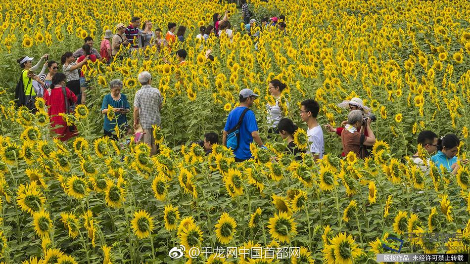 黄色网站免费网址