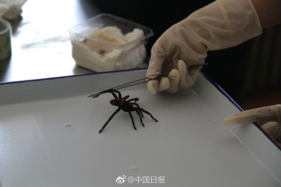 成人短视频