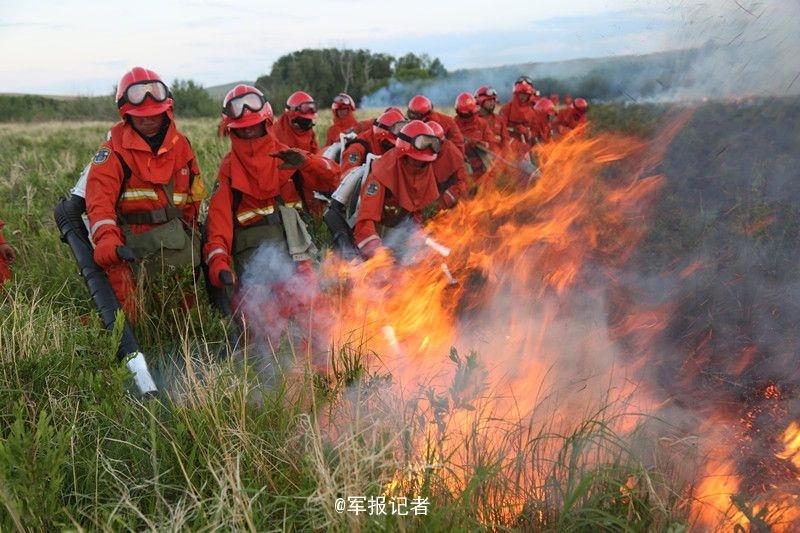 草莓黄片