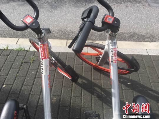 黄色视频免费看应用
