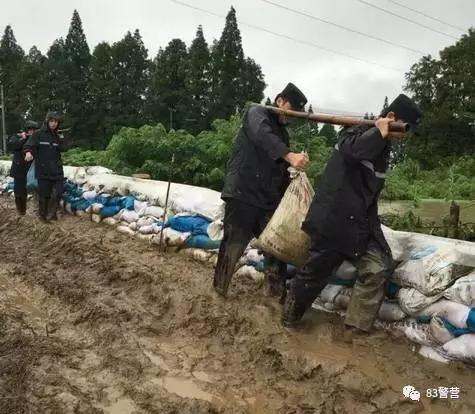 久久久久久高清毛片一级