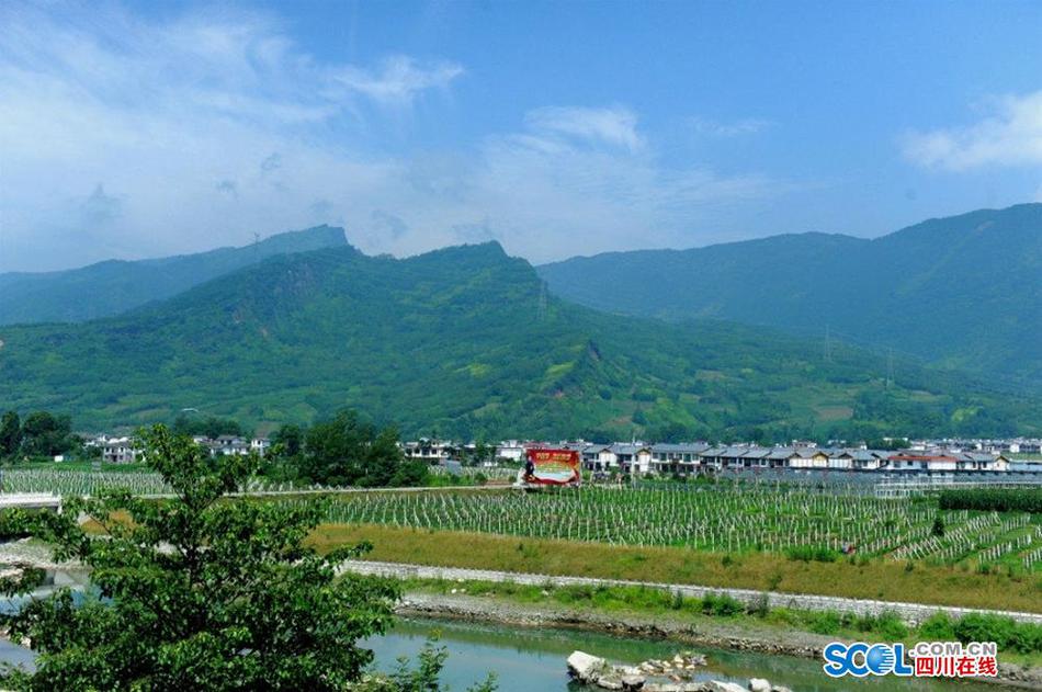 成人 电 景