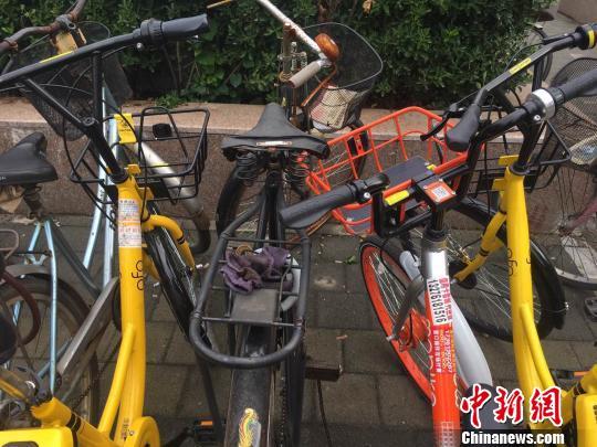 360水滴摄像头酒店大床房主题