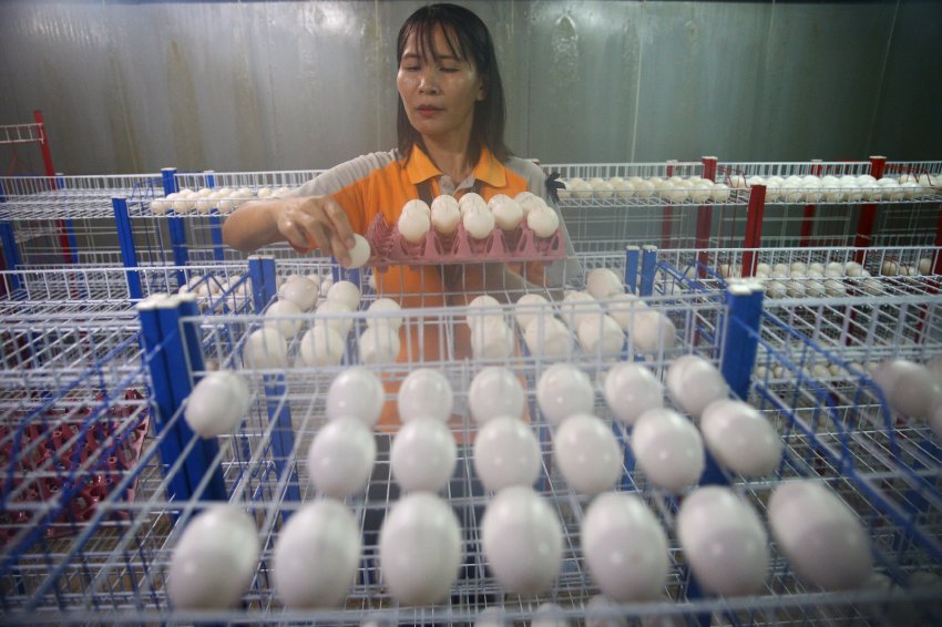 Chinese大屁股熟女