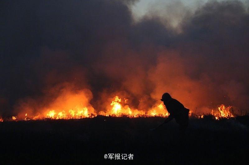 美國電影女明星