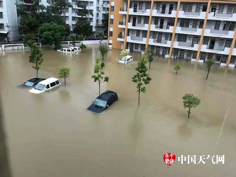 捆绑体育生精牛取精
