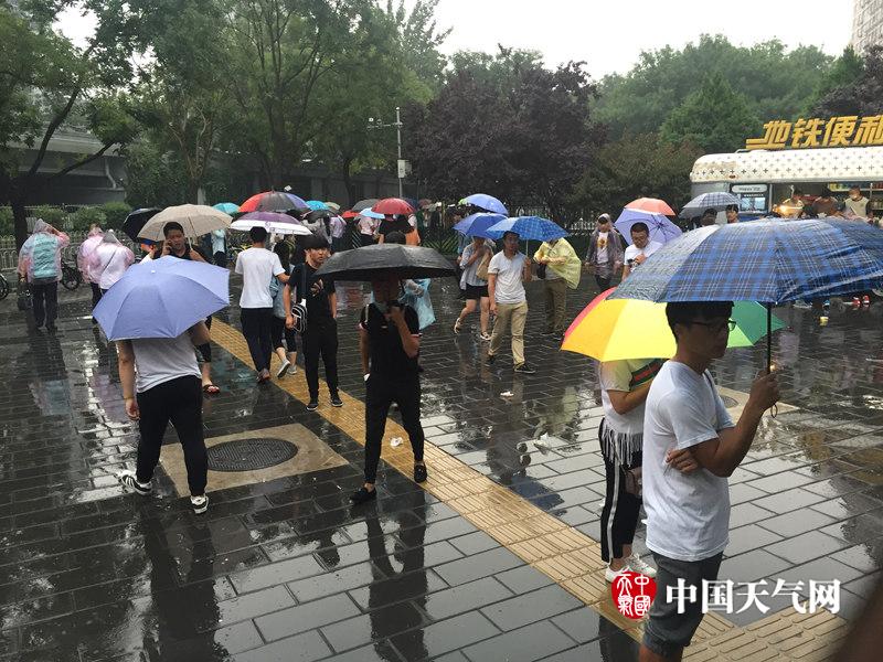 日女人逼毛片