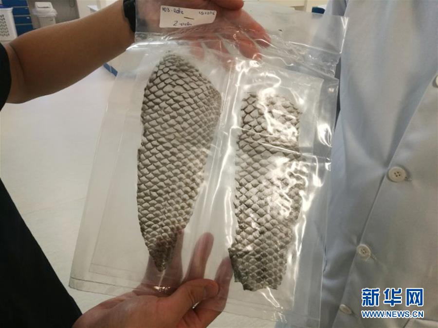 亚洲视频国产
