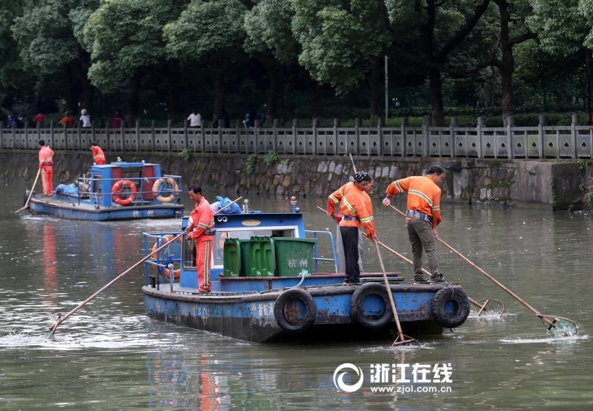 台灣男網紅