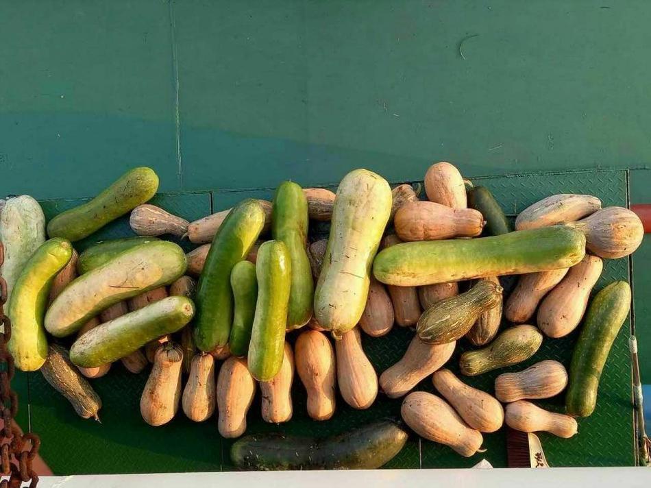 欧美性爱15P