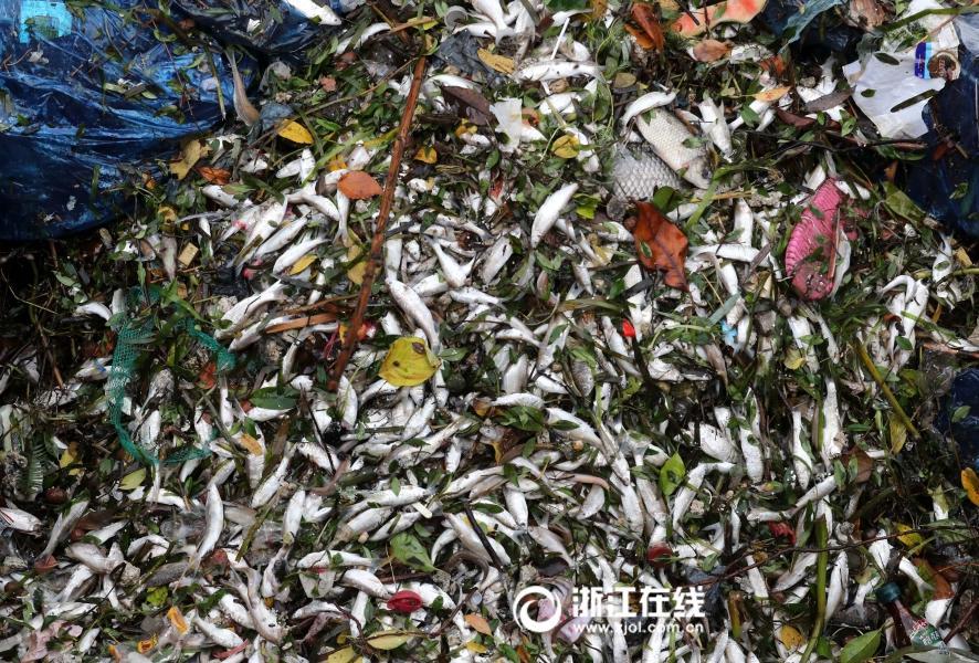 泰国三级片免费