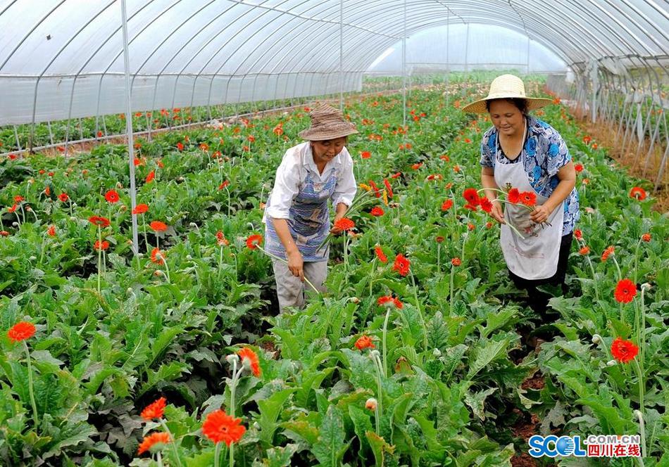 91蜜桃传媒精品久久久一区二区