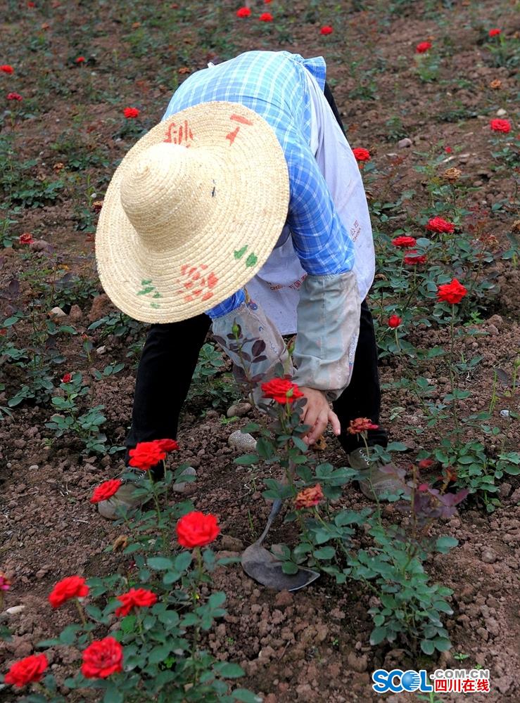 中国三级爱情片